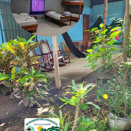 Hostal Xilotl San José del Sur Extérieur photo